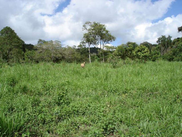 dsc04829