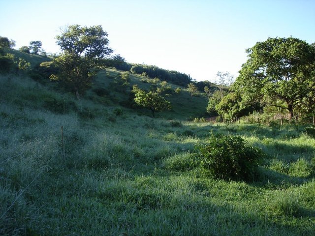 dsc04997