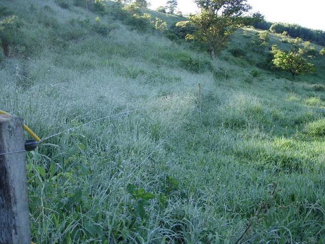 dsc04998
