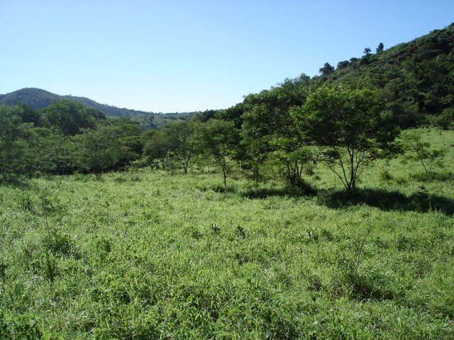 dsc05004