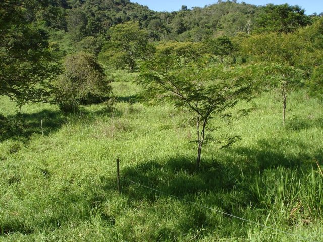 dsc05005