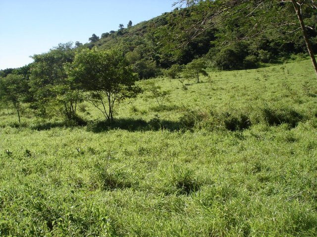 dsc05006