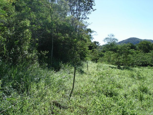 dsc05007