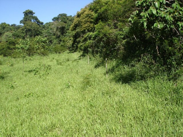 dsc05008
