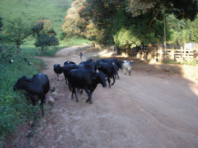 dsc05041