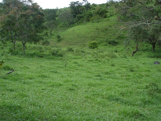 dsc05065