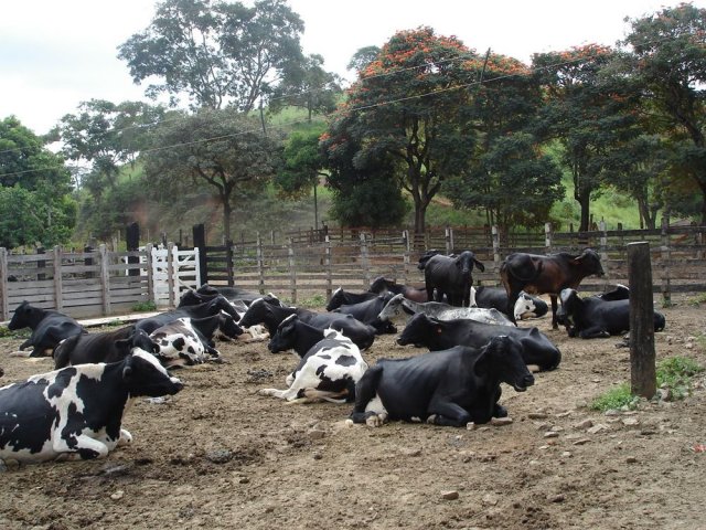 dsc05071