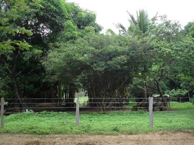 dsc05091