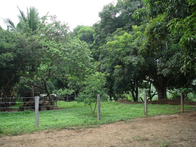 dsc05092