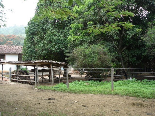 dsc05093