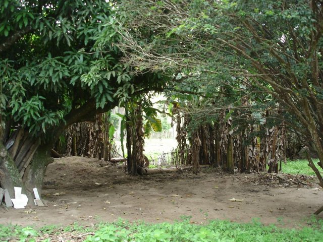 dsc05094