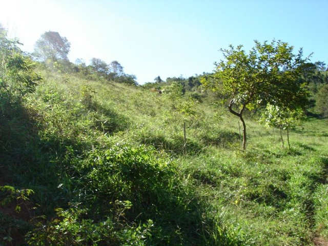 dsc05760