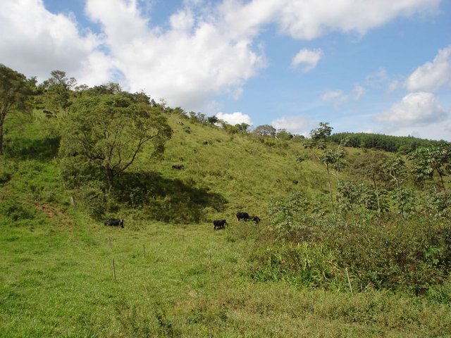 dsc05781