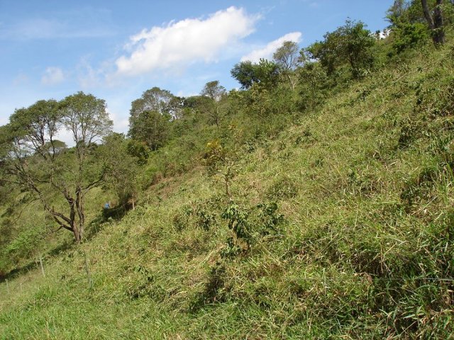 dsc05784