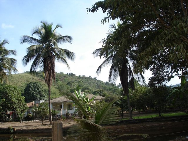 dsc05822