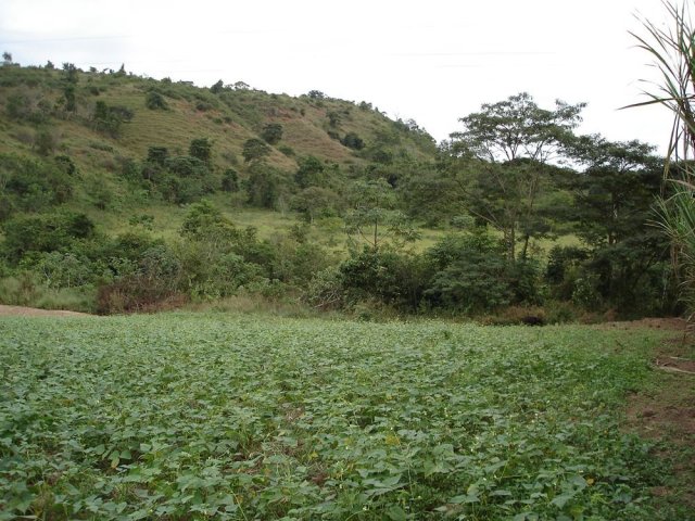 dsc05888