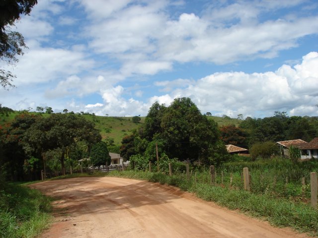 fazandafbv